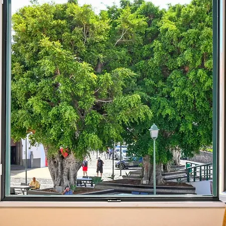 Largo Dos Milagres, A In Madeira Apartment